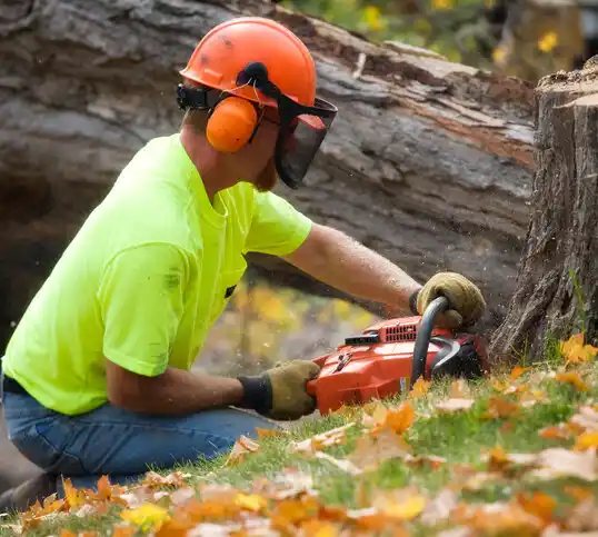 tree services Shallotte